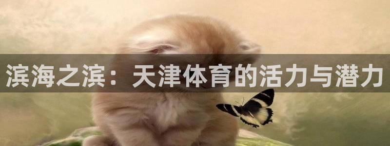 米兰体育官网下载招商电话是多少:滨海之滨:天津体育的活力与潜