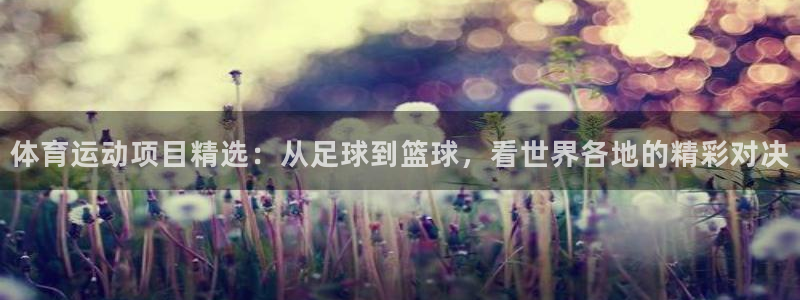 米兰体育官方正版app集团简介:体育运动项目精选:从足球到篮